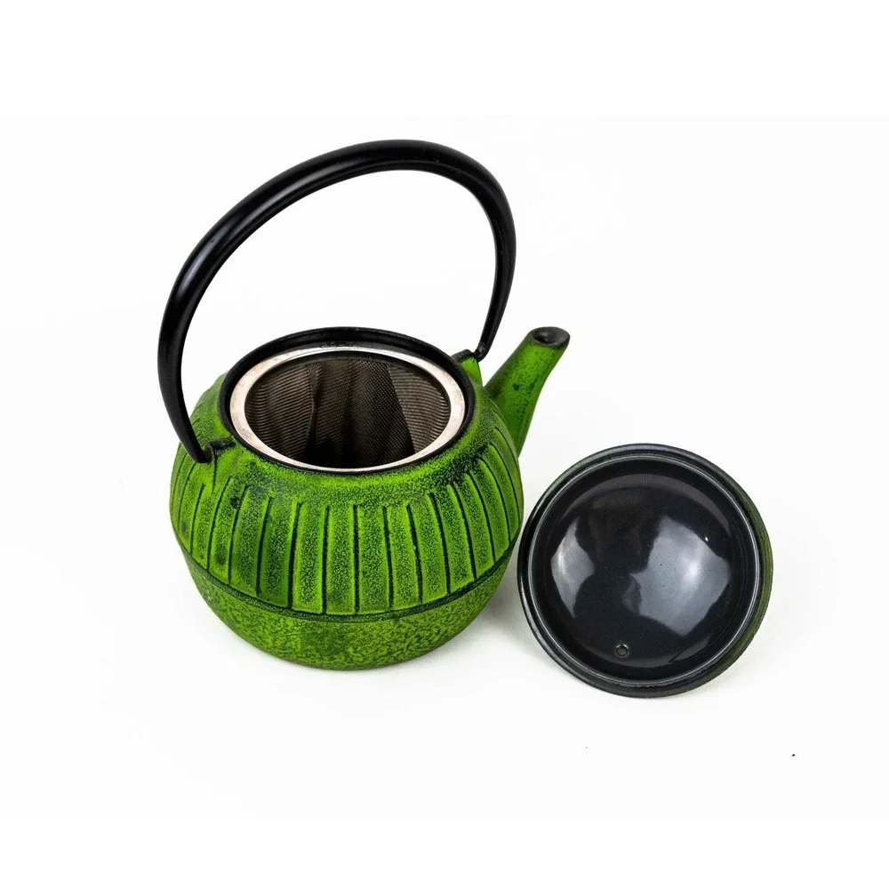 Green Cast Iron Teapot Set Japanese Tetsubin with Infuser and 2 Black Tea Cups